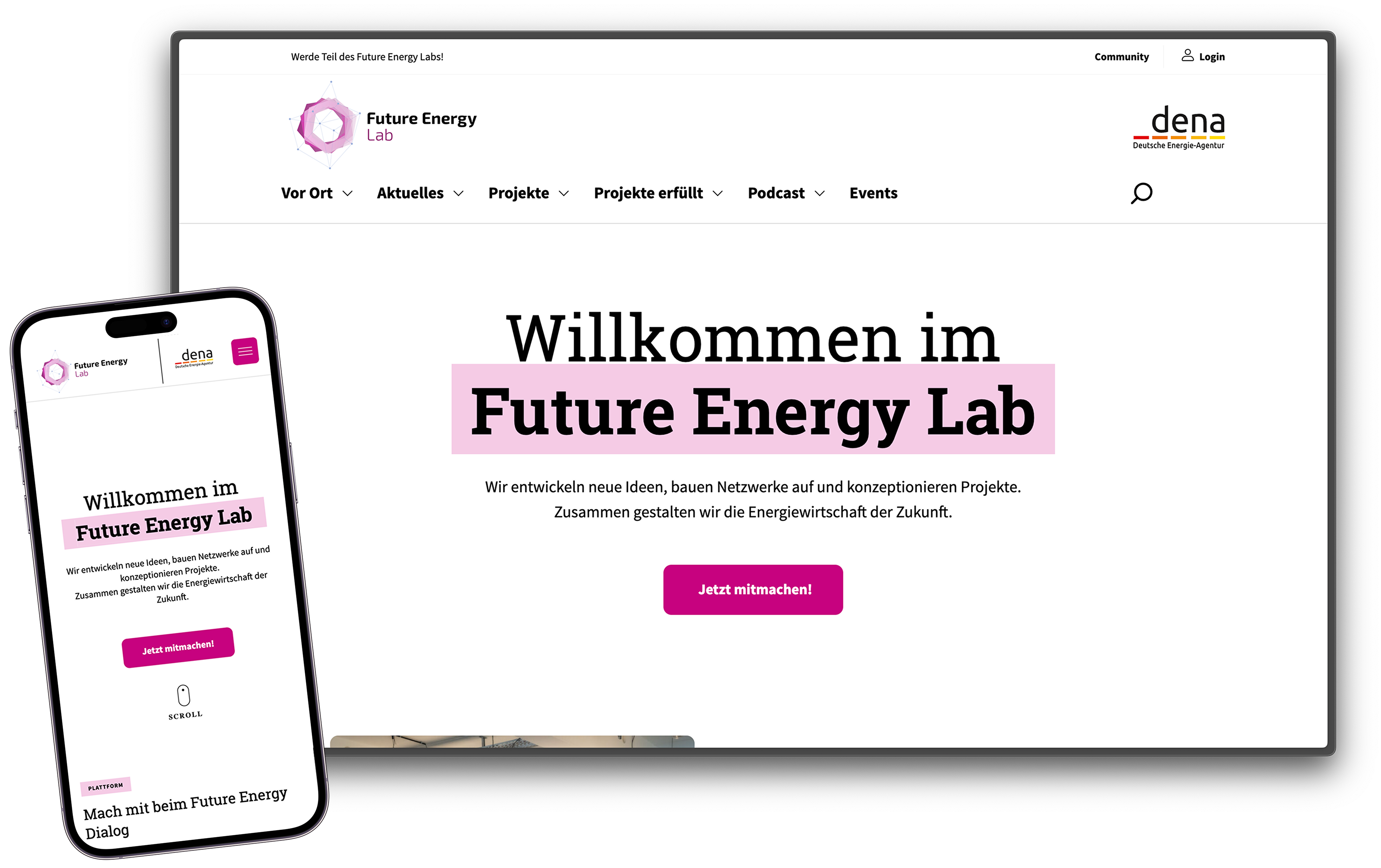 dena Future Energy Lab website